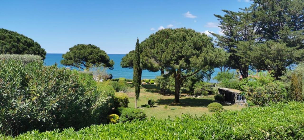 Villa I Merli Nous Contacter Avant Reservation Saint-Florent  Εξωτερικό φωτογραφία