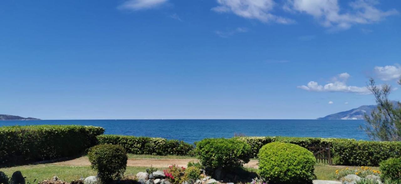 Villa I Merli Nous Contacter Avant Reservation Saint-Florent  Εξωτερικό φωτογραφία